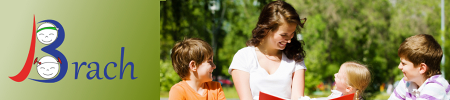 Brach Consult Header